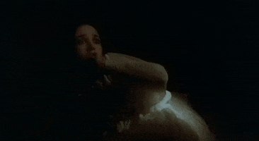 phantom der nacht vampyre GIF