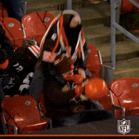 Celebrate Lets Go GIF by NFL