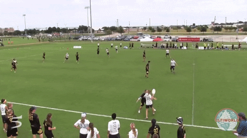 flikulti ultimate frisbee flik GIF