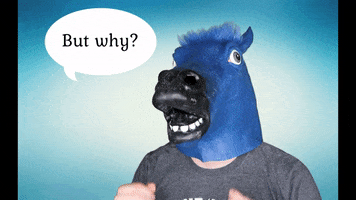 manentail what horse why sassy GIF