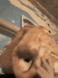 Create Making-Of GIF by Alex Boya