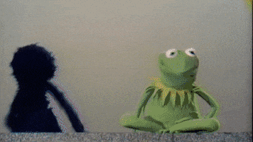 Sesame Street Muppets GIF by ABC Network