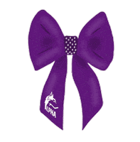 Alphacheer Sticker by Alpha Athletics Cheer