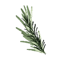 Herbs Rosemary Sticker by Heuchelberger Warte