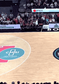 Basketball Playoffs GIF by Elan Chalon