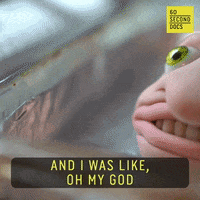 Arts And Crafts Wow GIF by 60 Second Docs