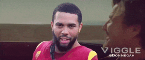 Chicago Bears GIF by The Undroppables