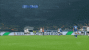 Football No GIF by FC Schalke 04