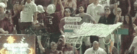 World Series Baseball GIF by NCAA Championships