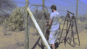 memes kitty big seor GIF