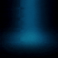 AllInSociety all in allin all in or nothing GIF