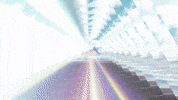 GIF by nettwerkmusic