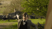 Slipup GIF by All Creatures Great And Small
