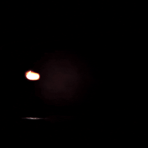 lit21nj giphyupload lit itslit lit21 GIF