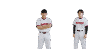 Kbo Sticker by Kiwoom Heroes Baseball Club