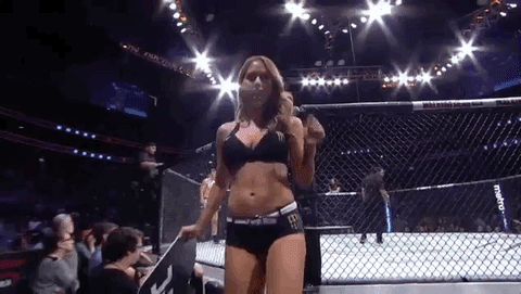ufc 229 sport GIF by UFC