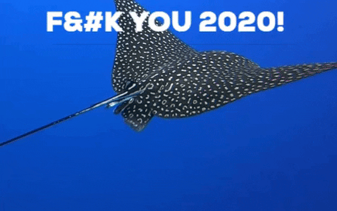 TheDiveBus giphygifmaker covid corona scuba diving GIF