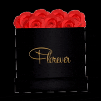 FloreverPeru red rose gift flores GIF