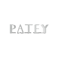 Logo Sticker Sticker by Patey