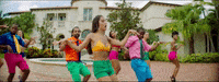 Ultra Music Pitbull GIF by Ultra Records