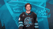 San Jose Yes GIF by San Jose Barracuda
