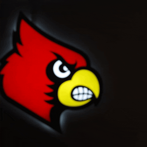 University Of Louisville Go Cards GIF by Louisville Cardinals