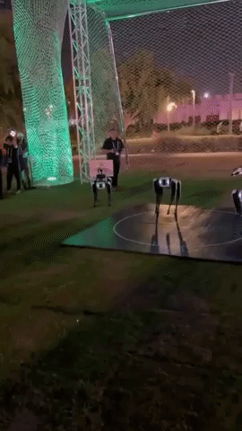 Dancing Robots Entertain World Cup Fans in Qatar