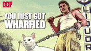 Fremantle Dockers GIF