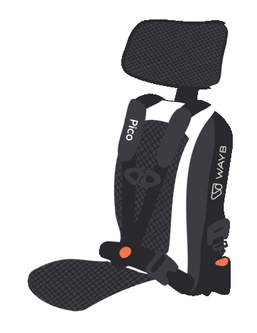 Stardust Pico Sticker by WAYB