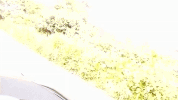 ralph irl GIF by MANGOTEETH