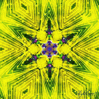 Rainbow Sparkles GIF