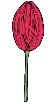 Happy Time Flower Sticker