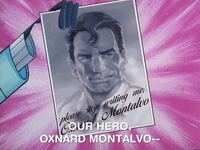 nickrewind nicksplat angry beavers GIF