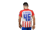 Football Soccer Sticker by Gulf United FC