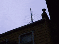 Escalator GIF by Ritt Momney