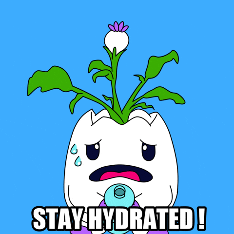 Stay Hydrated Water Bottle GIF by Magic Eden