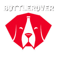 Fantasy Football Sticker by BottleRover