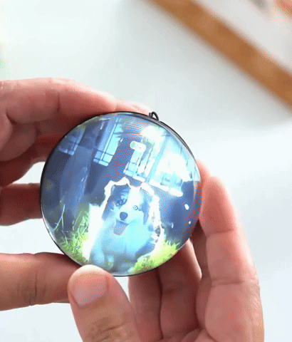 mummy_paradise giphyupload GIF