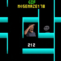 Maze 178 Mose GIF