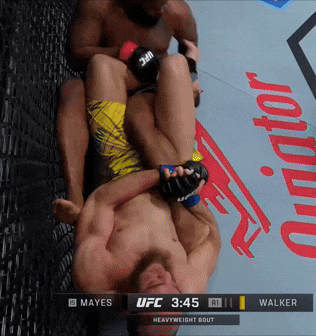 giphy.gif