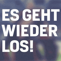 bayer04 bundesliga bayer 04 chicharito leno GIF
