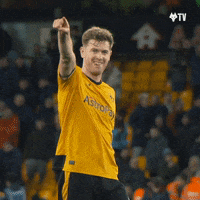 Premier League Yes GIF by Wolves