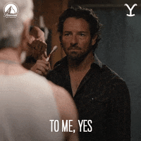 Paramount Network Yes GIF by Yellowstone