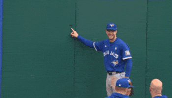 Blue Jays Smile GIF by Toronto Blue Jays