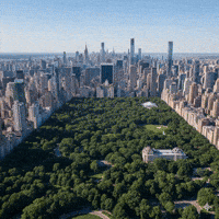 New York City Nyc GIF by HOSSDESIGNUSA