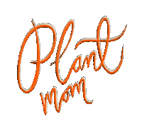Deerlystudio lettering plant plants leaves Sticker