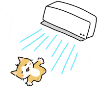 Happy Summer GIF
