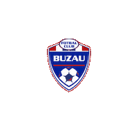 Liga 1 Football Sticker by Superliga Romania