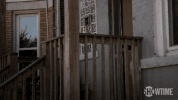 season 8 showtime GIF by Shameless