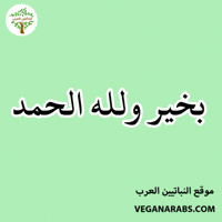 Islam Arabic Language GIF by VeganArabs